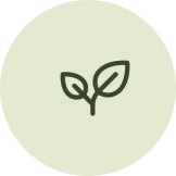 Icono de Hoja de aceituna
